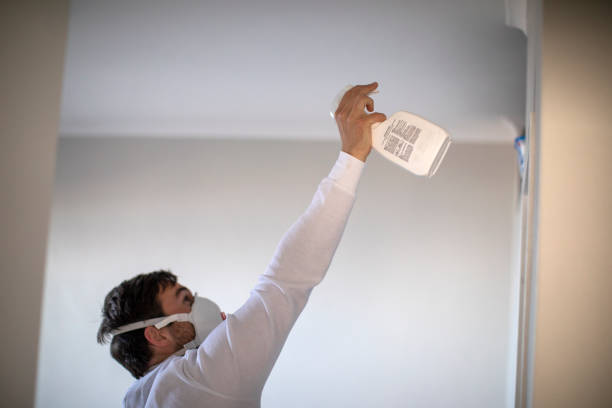 Best Fast Mold Removal  in Milton, DE