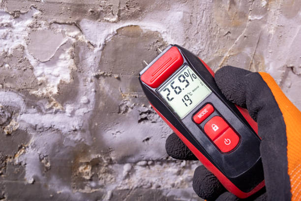 Best Residential Mold Removal  in Milton, DE