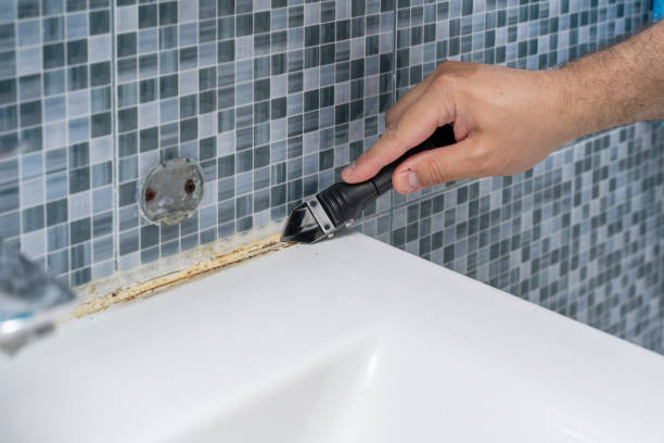 Best Mold Cleaning Services  in Milton, DE