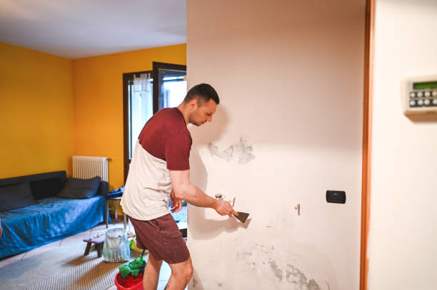 Professional Mold Removal in Milton, DE