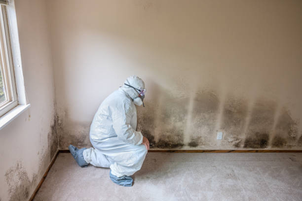 Best Mold Testing  in Milton, DE