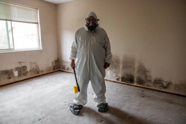 Best Affordable Mold Removal  in Milton, DE