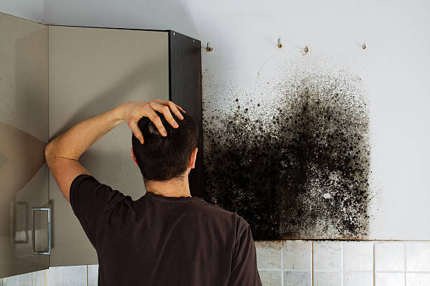 Best Professional Mold Removal  in Milton, DE