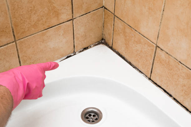 Best Mold Testing  in Milton, DE